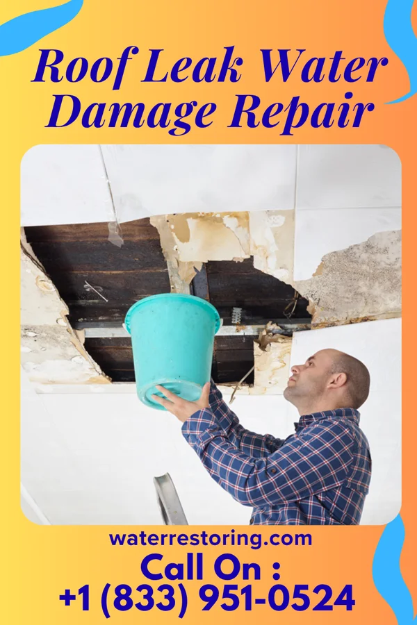 Roof Leak Water Damage Repair in Fulton, MS