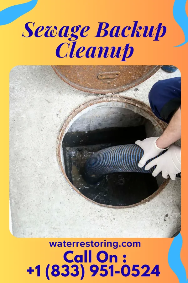Sewage Backup Cleanup in Fulton, MS